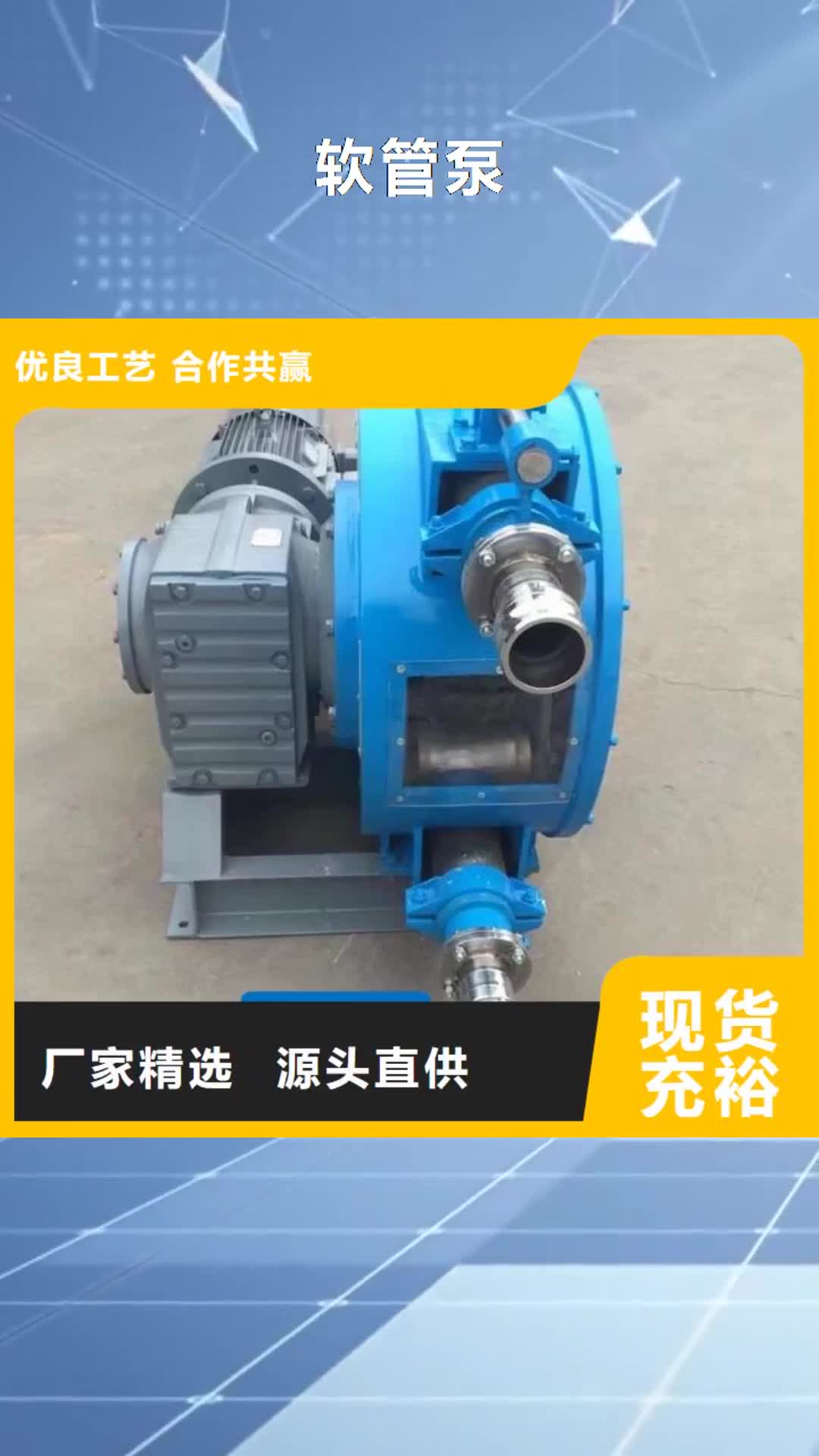 【宜昌 软管泵_滑模机您身边的厂家】