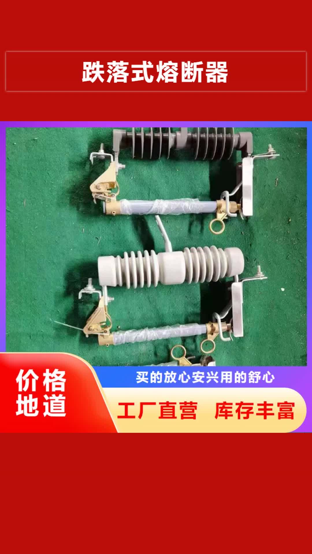 鄂州【跌落式熔断器】_XRNT-12KV熔断器品质无所畏惧