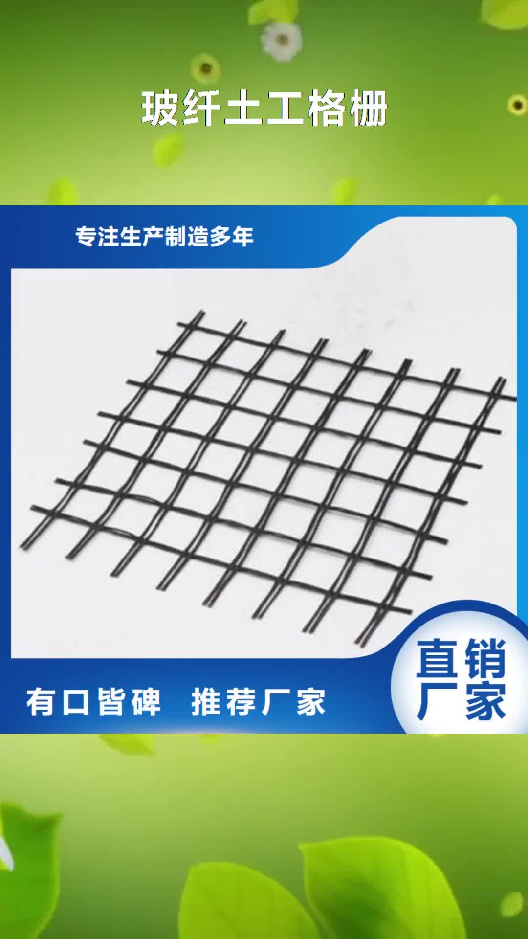 巴中 玻纤土工格栅-【三维植被网】快速报价