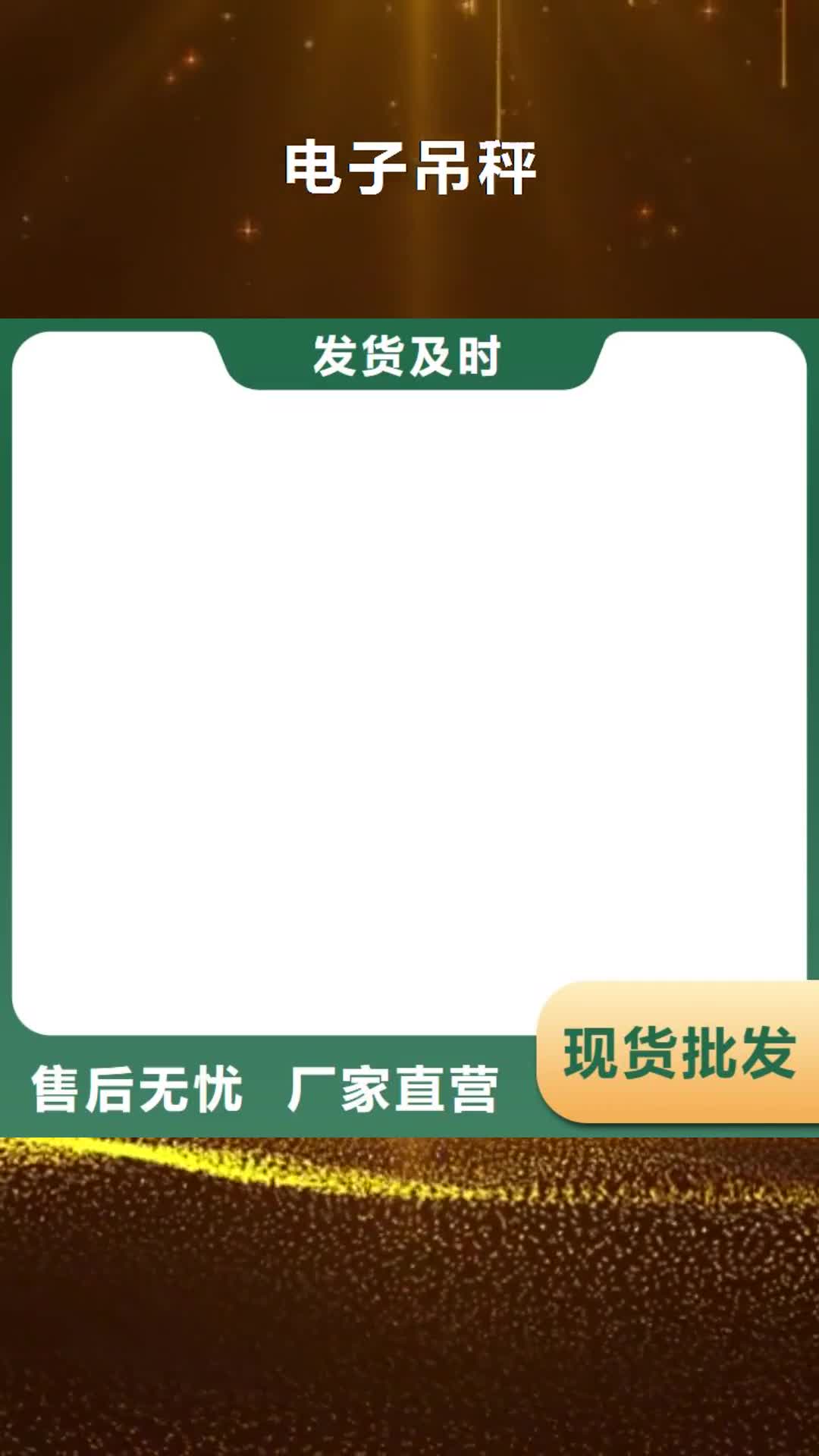 大庆【电子吊秤】,防爆地磅厂家拥有先进的设备