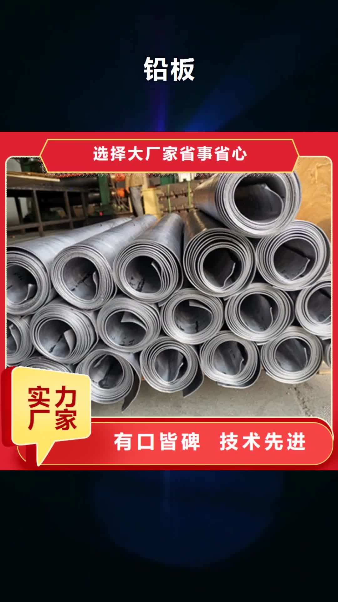 【巢湖 铅板_铅门厂家发货迅速】