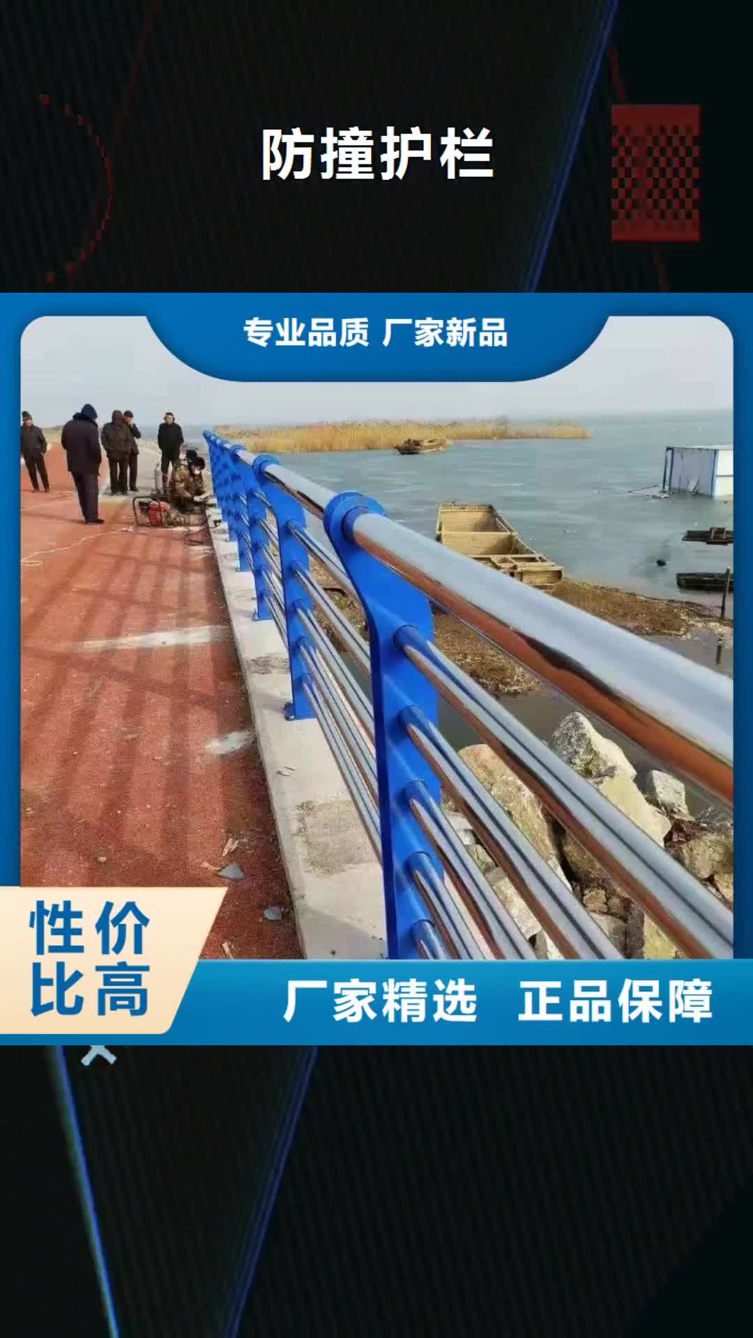 承德【防撞护栏】-桥梁护栏厂家实力见证