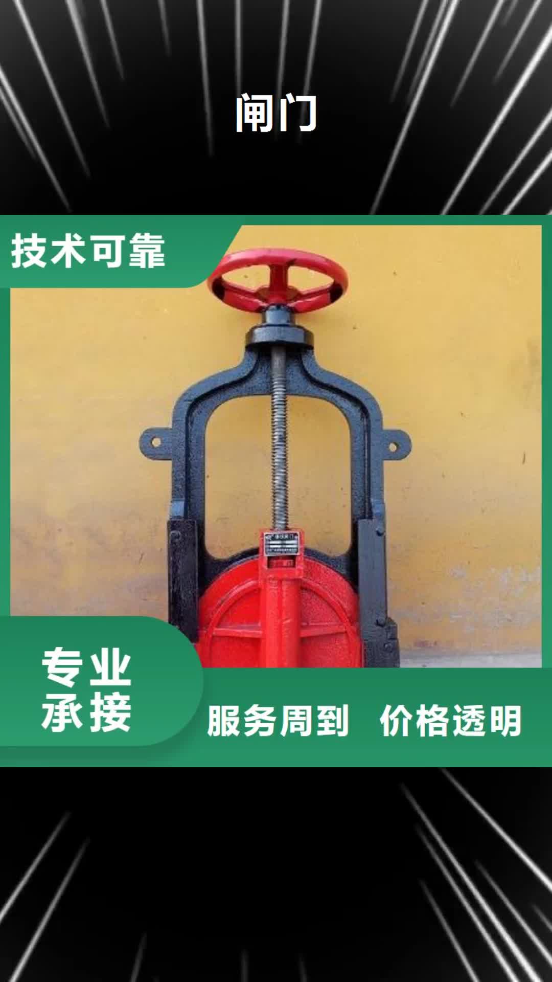 新余闸门钢制闸门安装简单