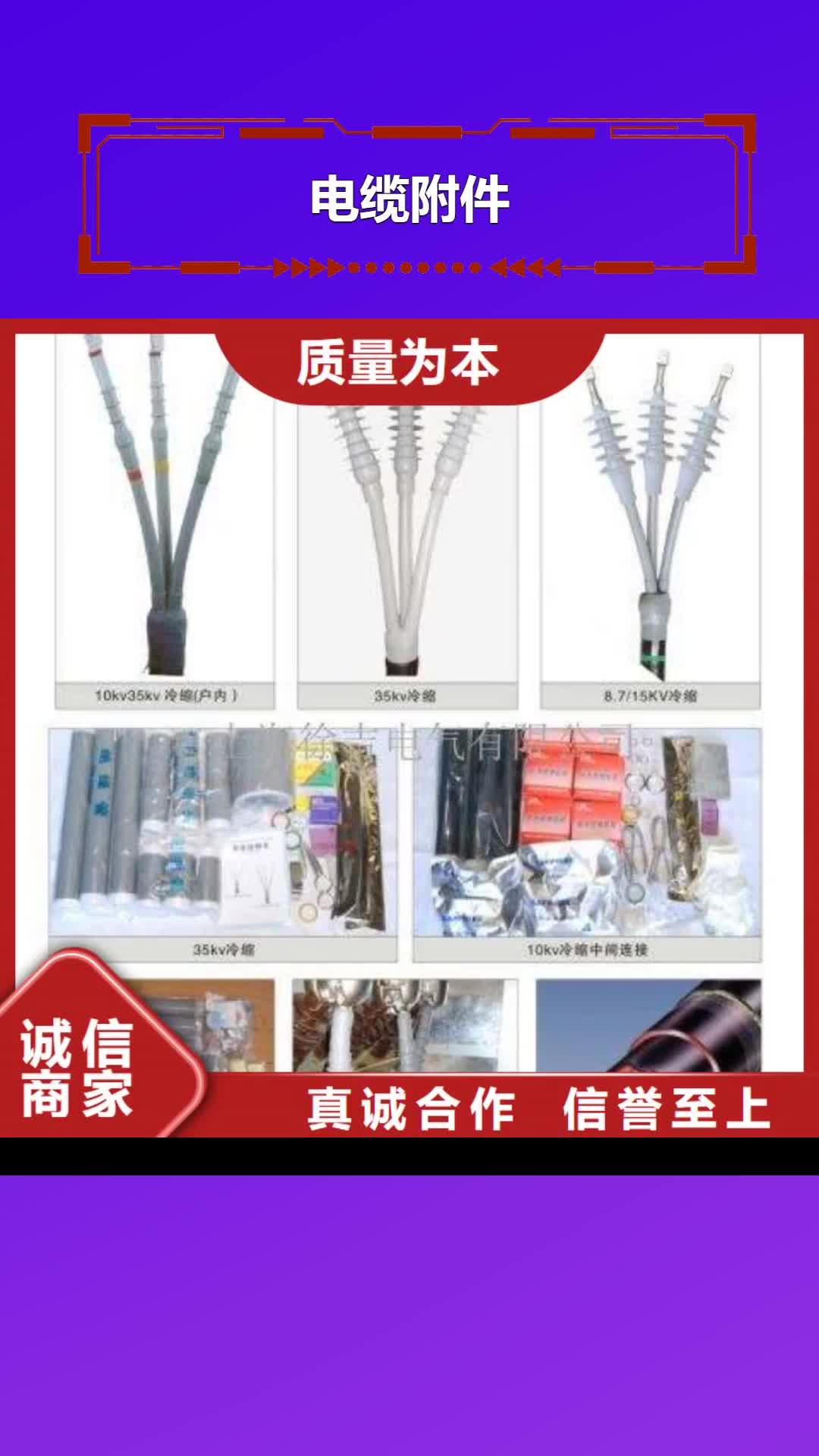 【齐齐哈尔电缆附件-三相组合式避雷器定制零售批发】