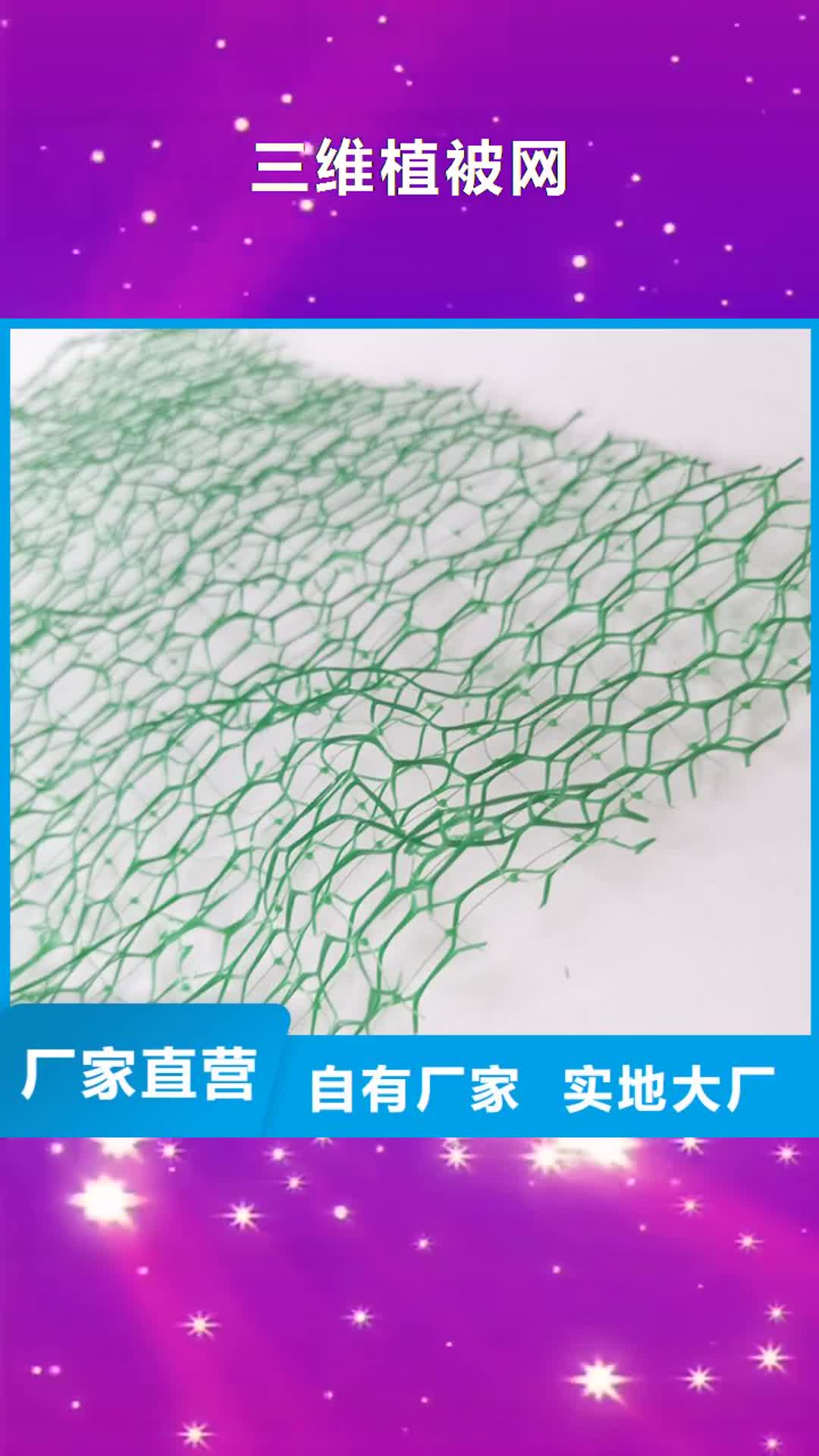 南昌【三维植被网】 防水板品质保证实力见证