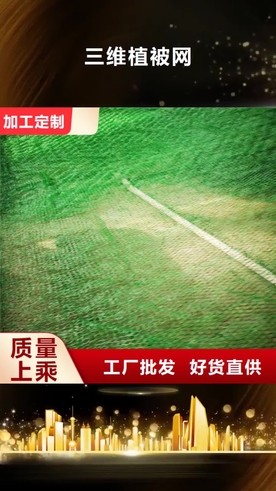 信阳【三维植被网】 土工格栅安心购