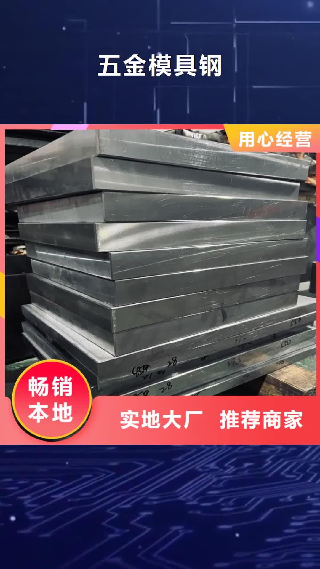 临沧 五金模具钢【模具钢厂家】专注产品质量与服务
