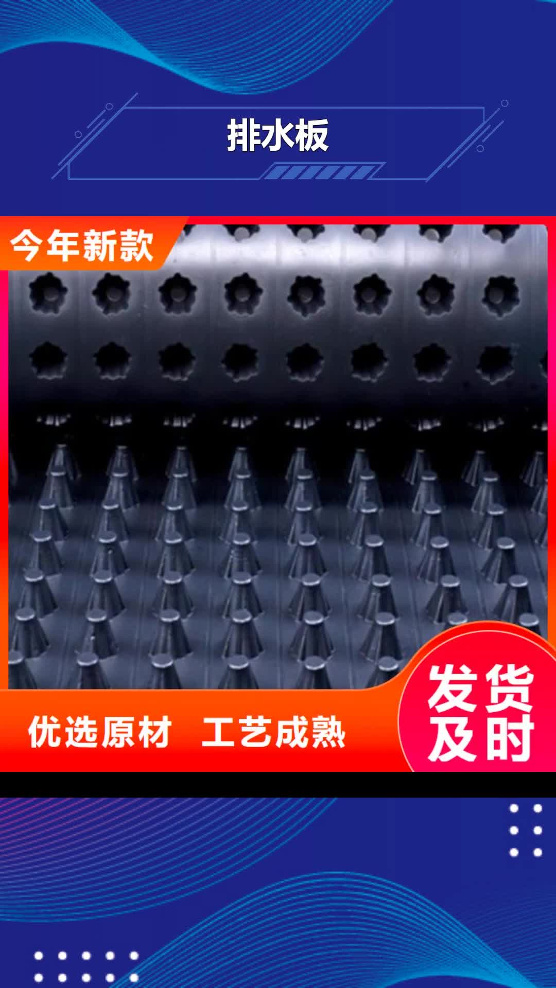 德州 排水板大品牌值得信赖
