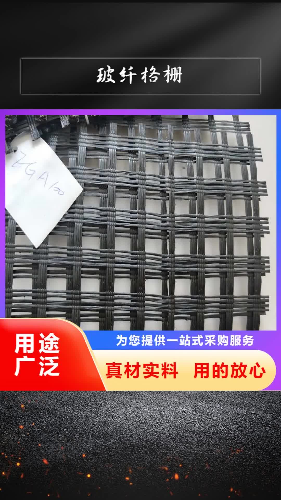台湾【玻纤格栅】 塑料土工格栅保质保量