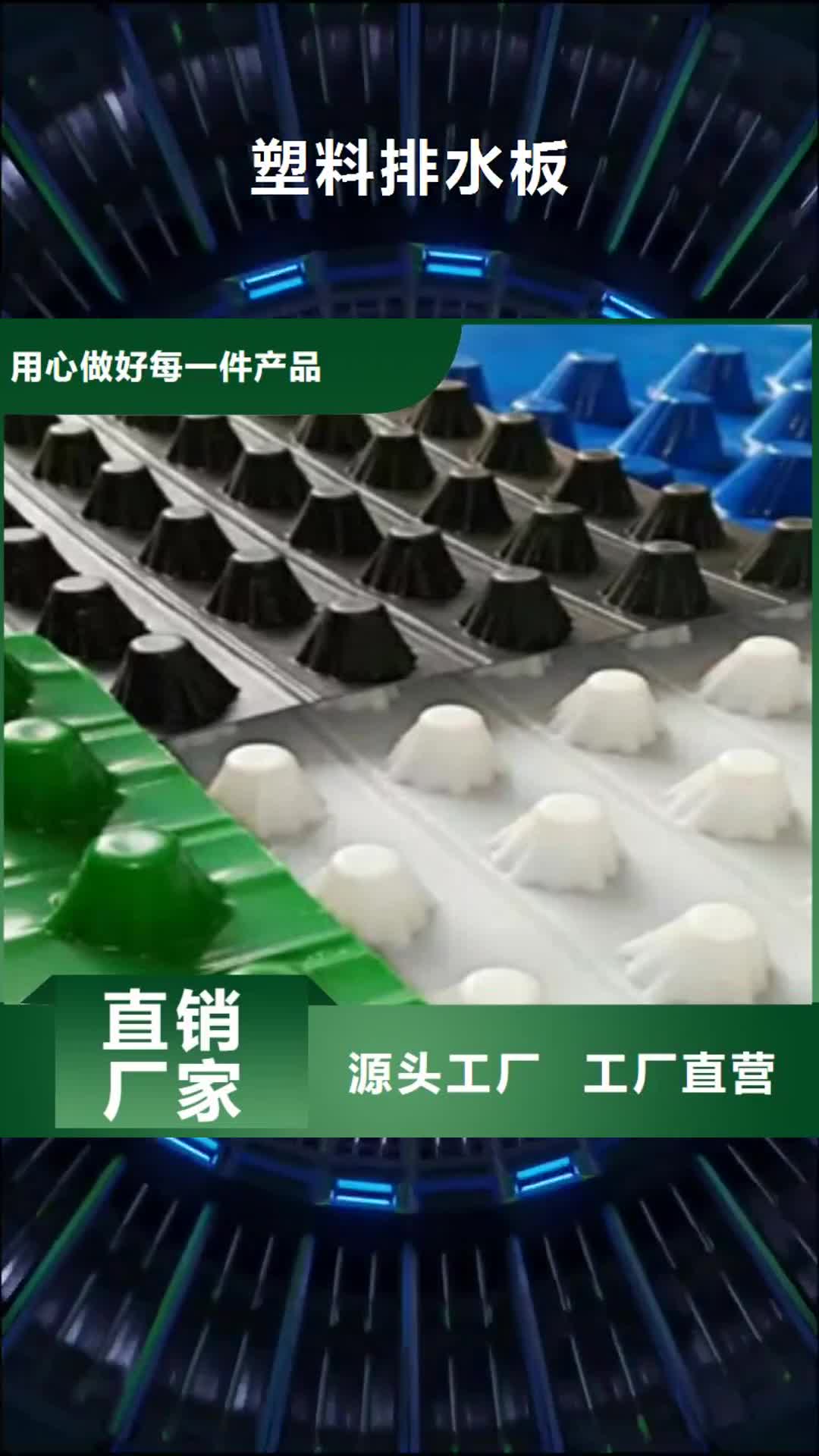 温州 塑料排水板,【三维植被网】定制销售售后为一体