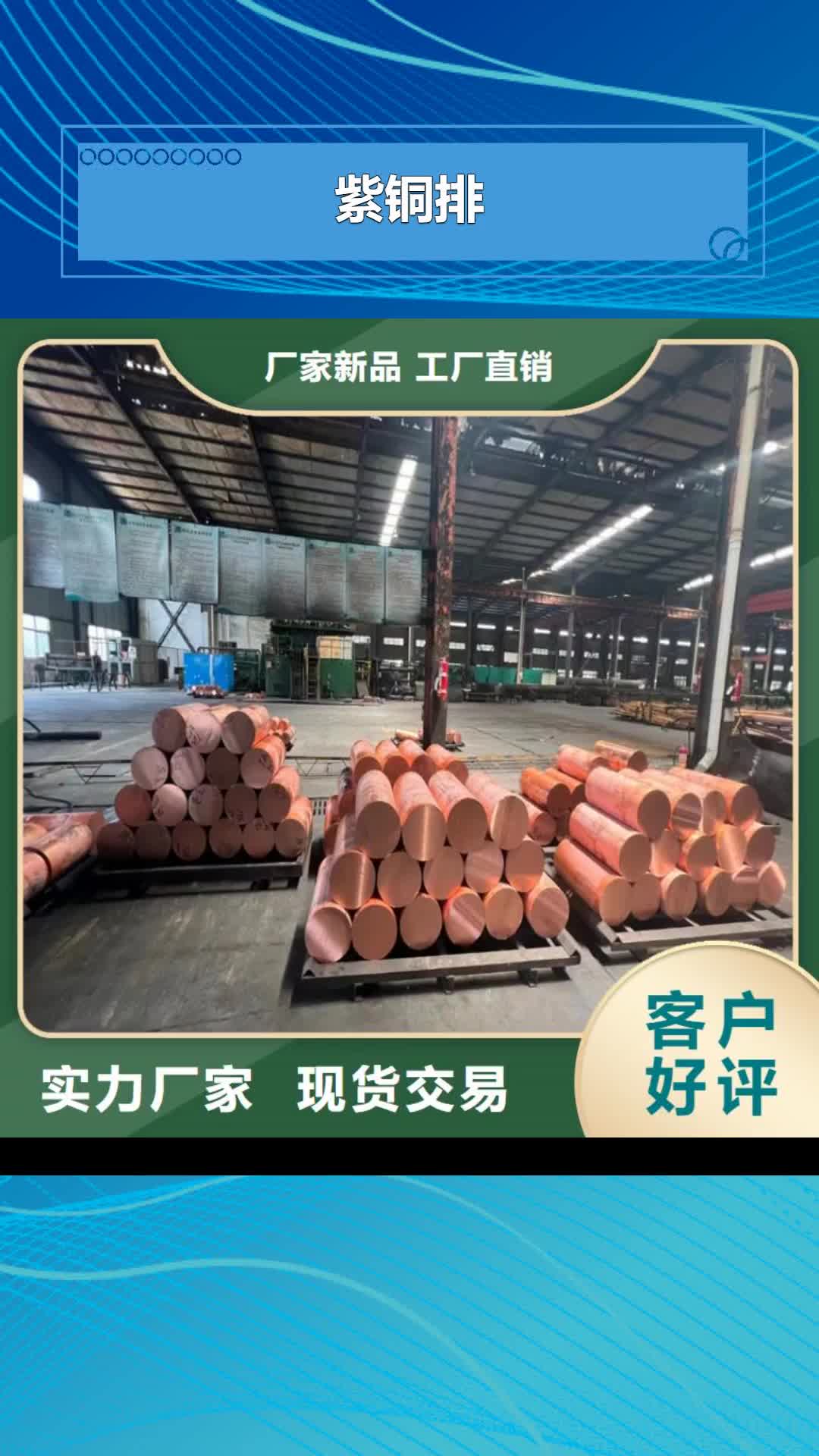 天津【紫铜排】,黄铜带国标检测放心购买